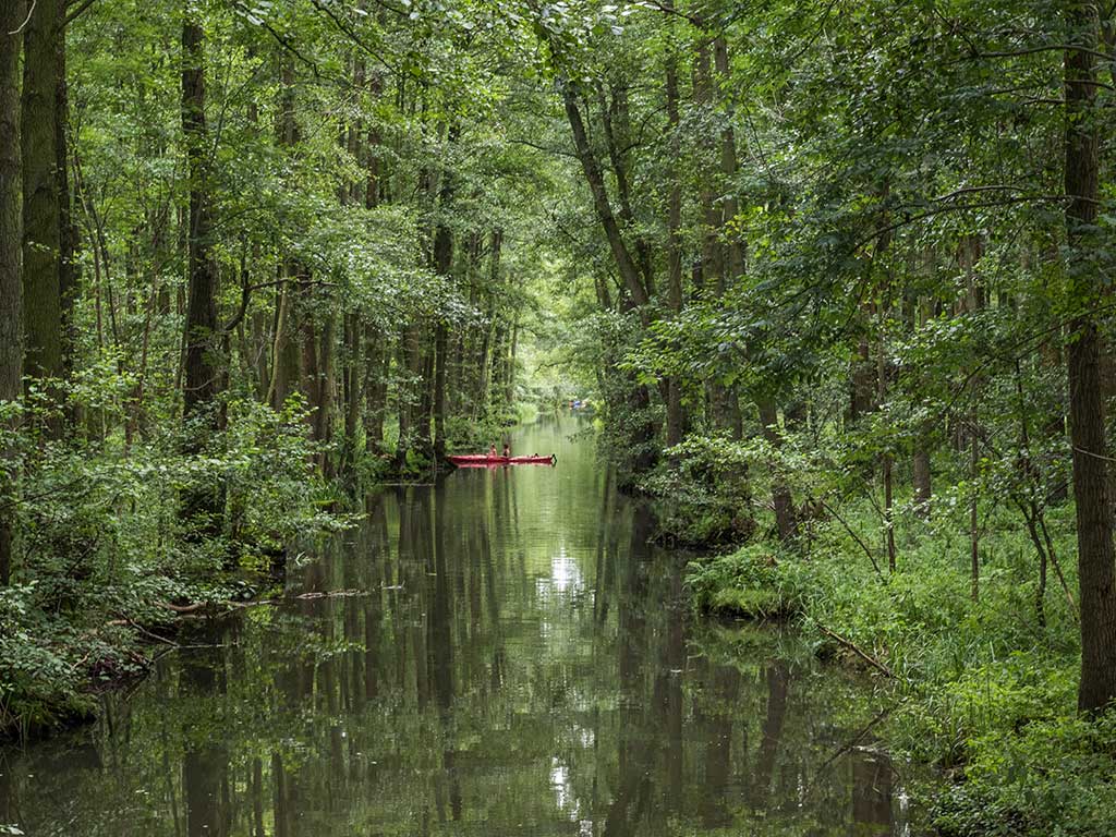 Fließ im Spreewald