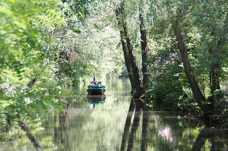 Kahnfahrt im Sommer in Burg Spreewald