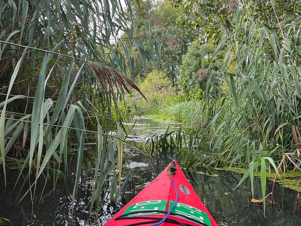 Kanu auf dem Wasser in Burg Spreewald